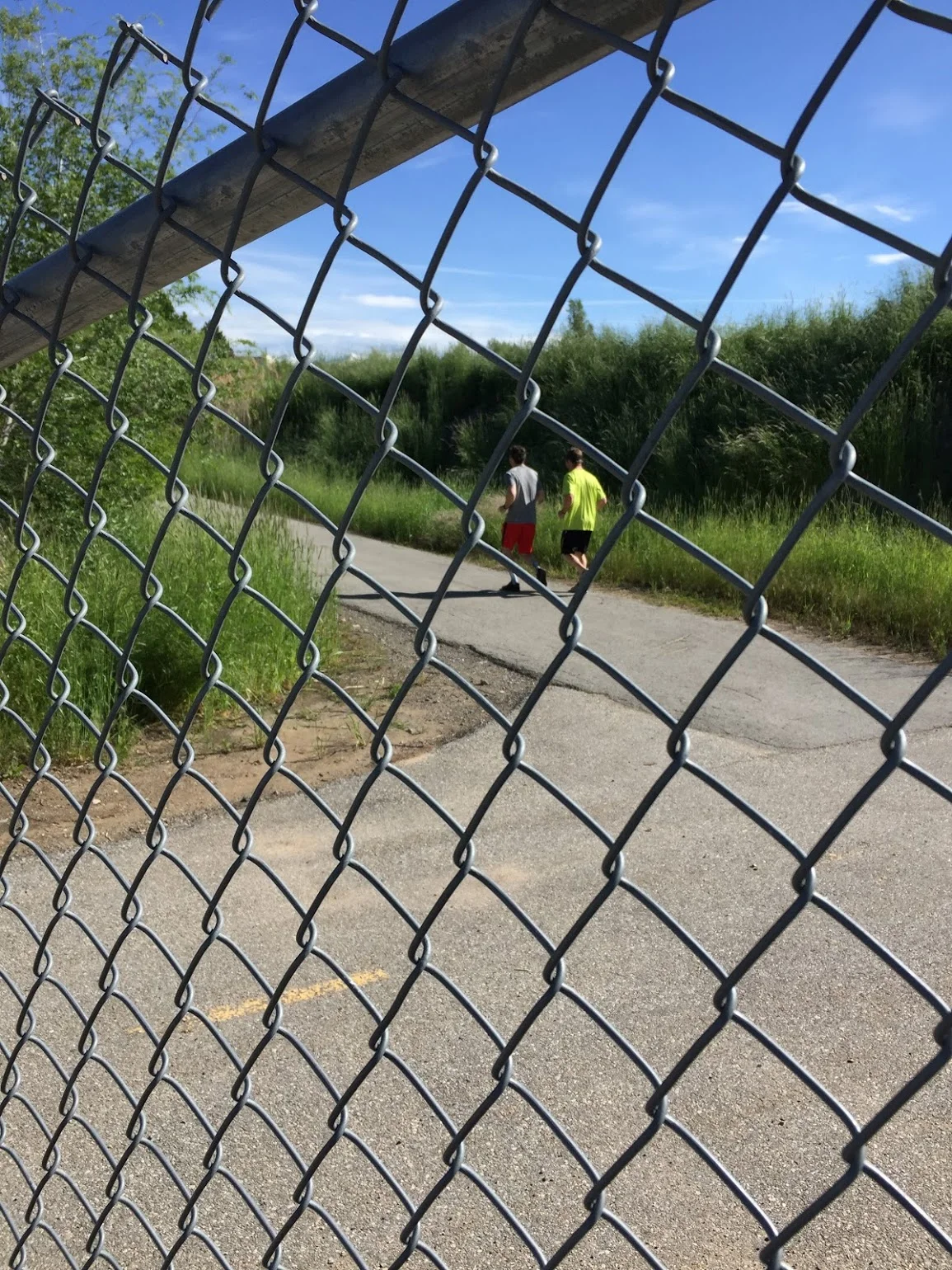 Running a Marathon Without Training (Or Dying)